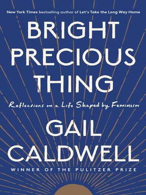 cover image of Bright Precious Thing